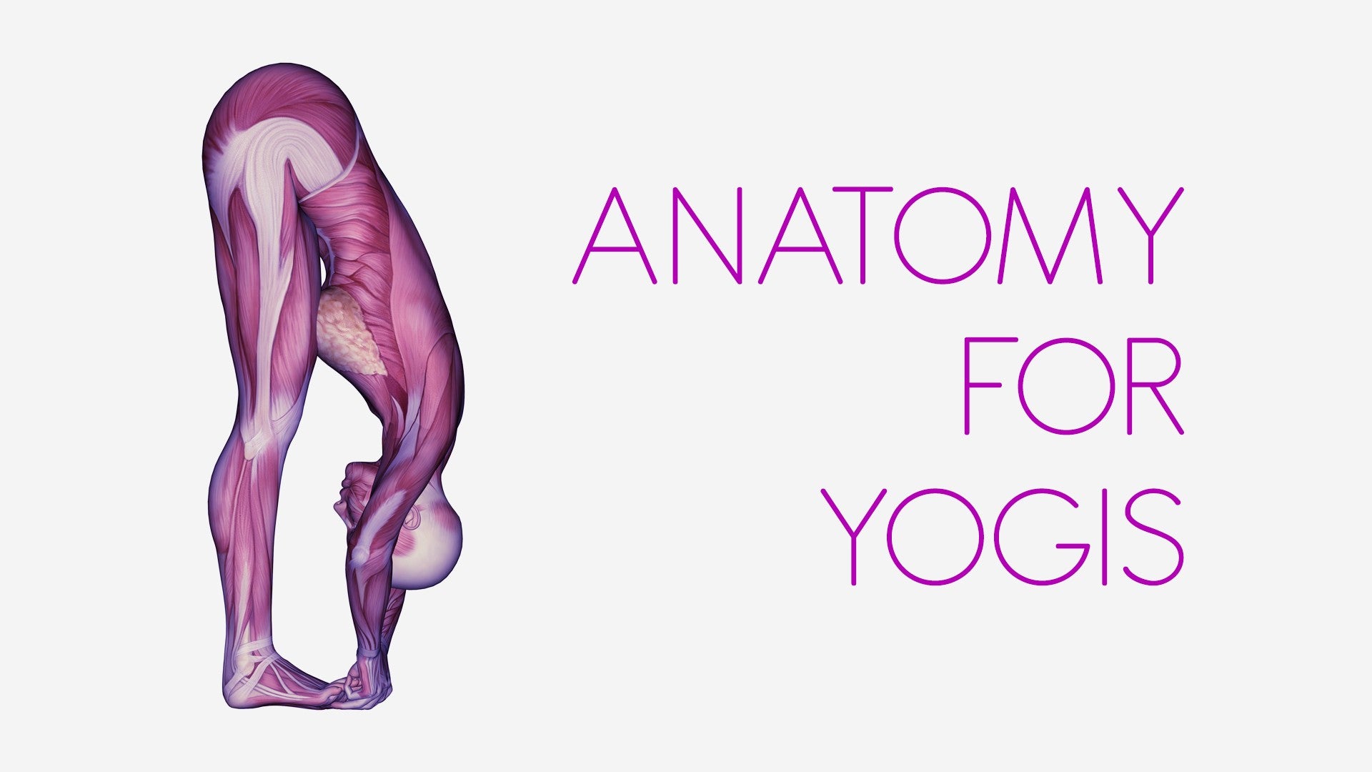 Anatomy for Yogis Artwork