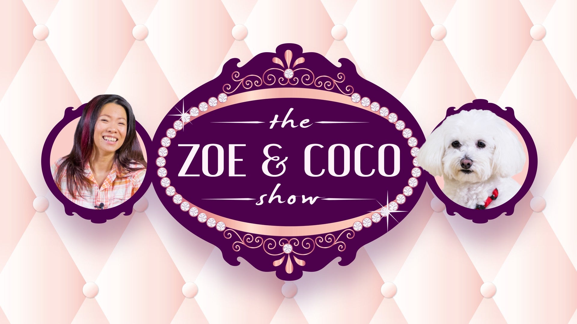 The Zoe and Coco Show Artwork
