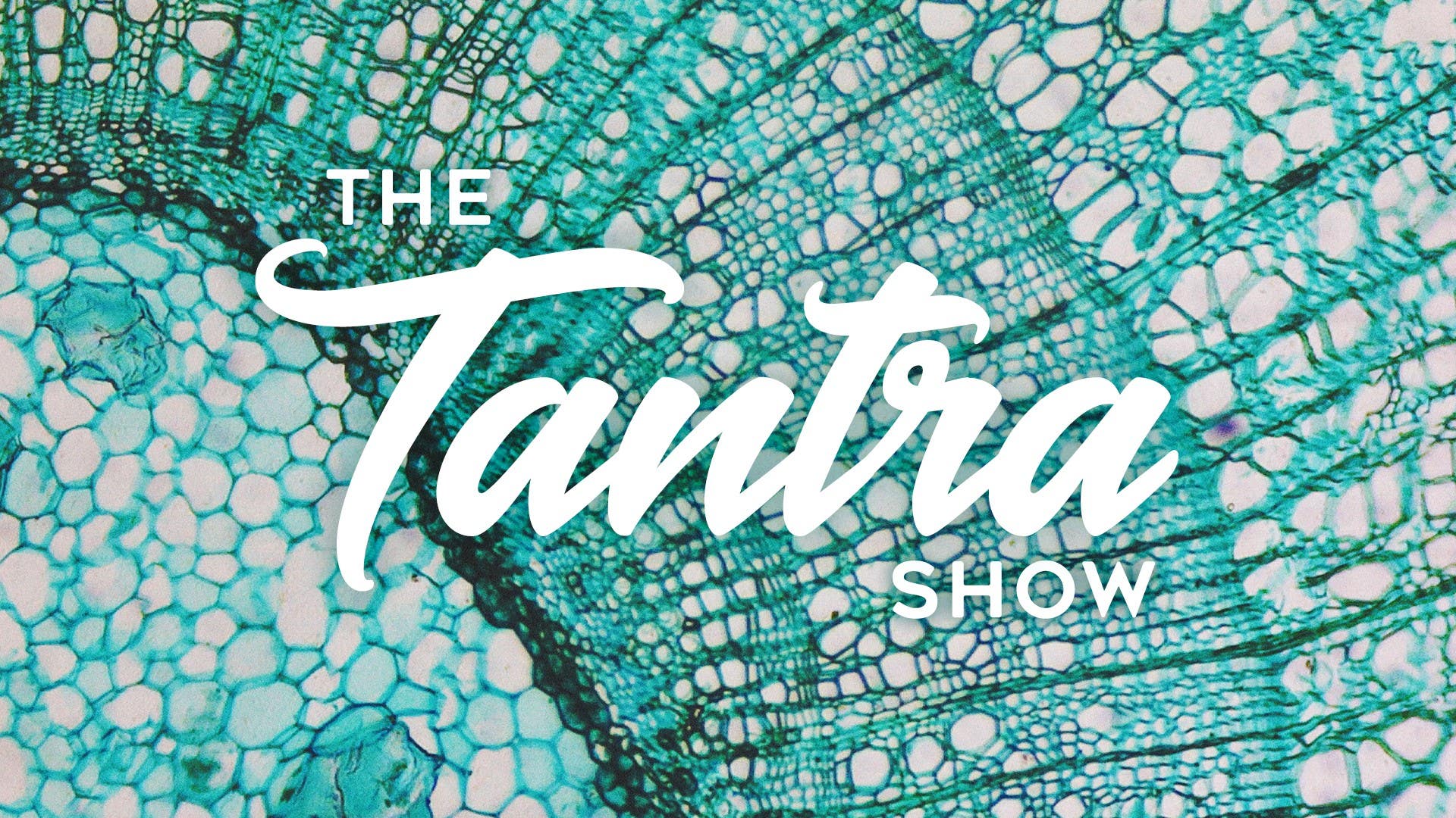 The Tantra Show Artwork