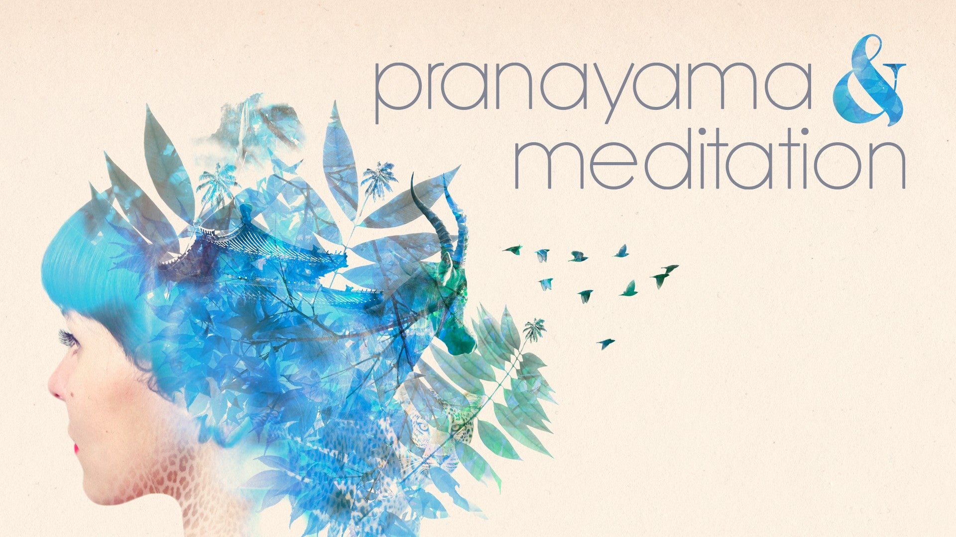 Pranayama & Meditation Artwork