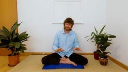 James Boag - Sutras 2.49 and 2.50 (10 mins) - Level Suitable for All