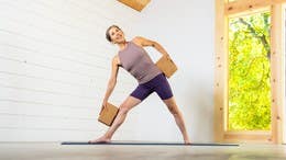 Melina Meza - Healthy Aging (30 mins) - Level 1/2