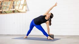 Alana Mitnick - Steadiness and Ease (30 mins) - Level 2