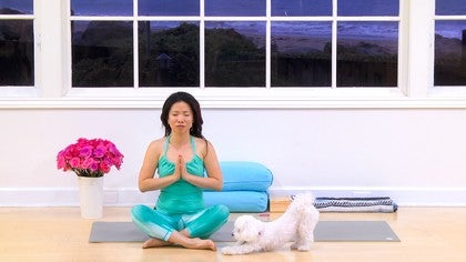 The Zoe and Coco Show: Yoga Playtime<br>Zoe Ho