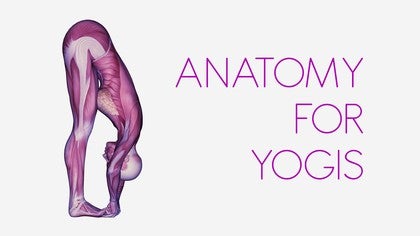Anatomy for Yogis