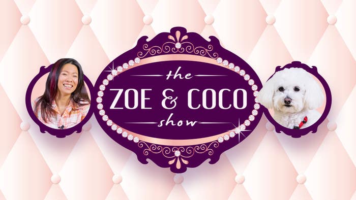The Zoe and Coco Show