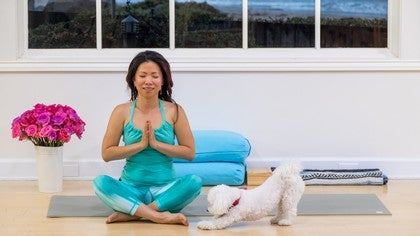 Faithful Yoga Companions (Blog)