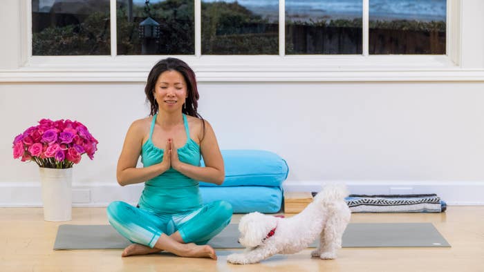 Faithful Yoga Companions