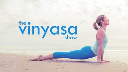 The Vinyasa Show