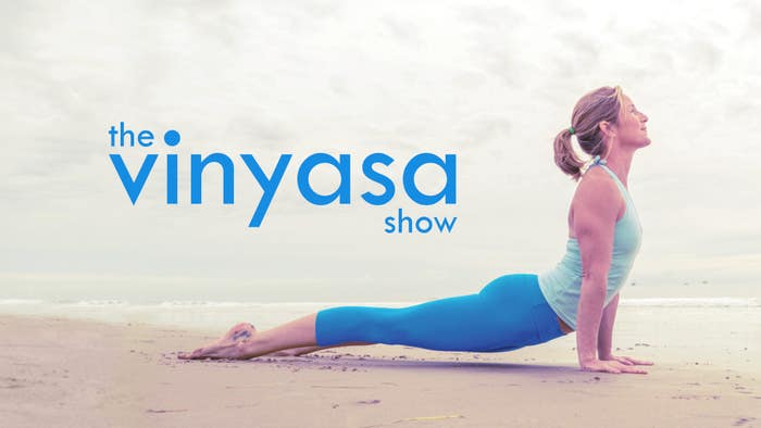 The Vinyasa Show