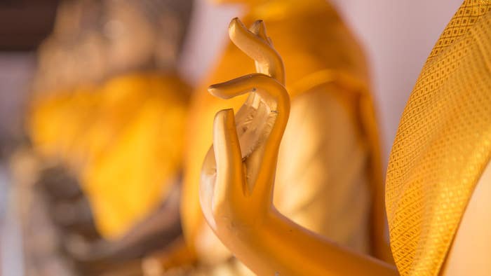 The Royal Yoga: A Path to Freedom