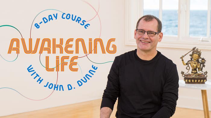 Awakening Life