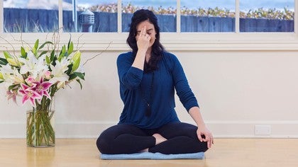 A Yogis Guide to Hacking your Nervous System (Blog)