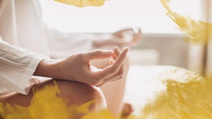 Trust the Connection: 2021 Yoga Anytime LIVE Online Yoga Retreat