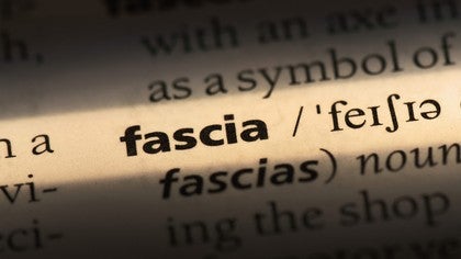 What the F is Fascia?