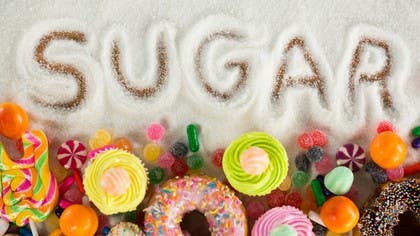 The Case Against Sugar (Blog)