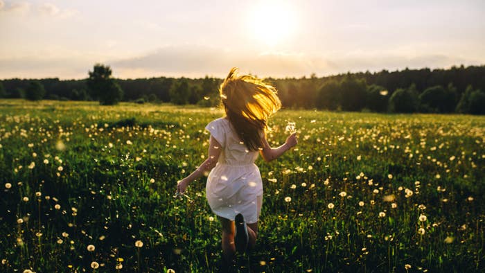 Meeting Springtime