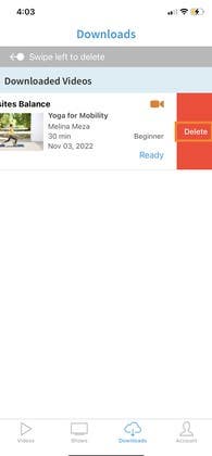 How do I download a video to watch it offline? (FAQs)