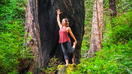 Reaching New Heights: Yoga, Ayurveda, and the Five Natural Elements (Blog)