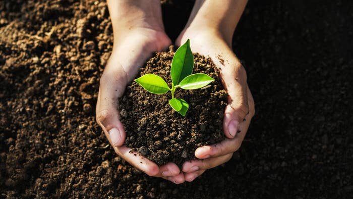 Spring Green: Tips for a Greener Lifestyle