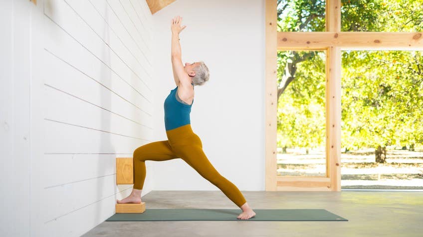 Iyengar Yoga with Lisa Bartlett - “The third limb of yoga is asana or  posture. Asana brings steadiness, health and lightness of limb. A steady  and pleasant posture produces mental equilibrium and