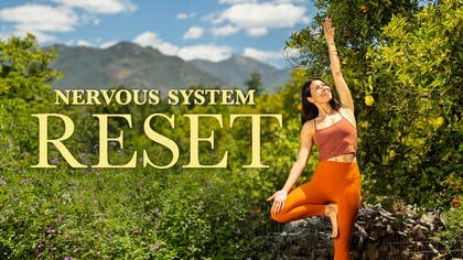 Nervous System Reset