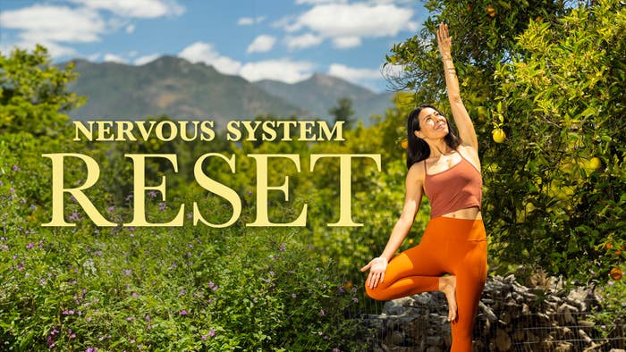 Nervous System Reset
